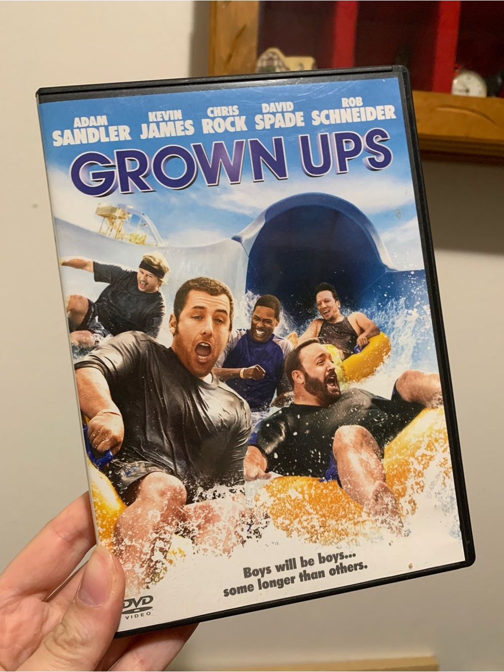 * Grown Ups - Adam Sandler - Kevin James - David Spade - Very Good DVD